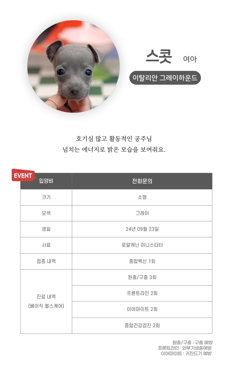 스콧_상세이미지_3