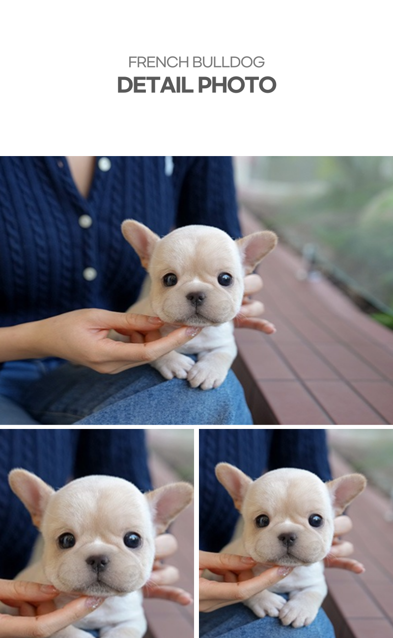 버터_상세이미지_5