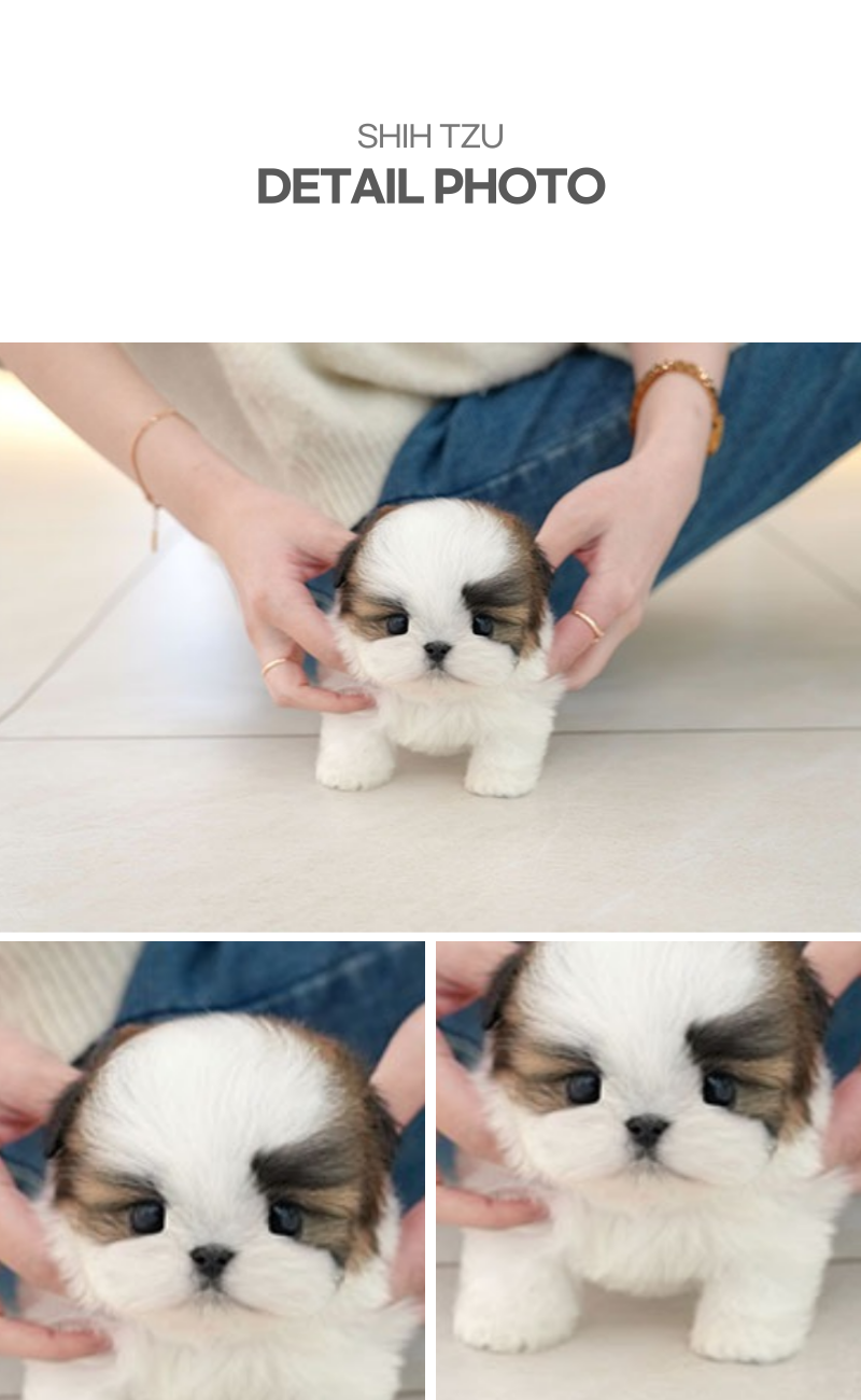 유진_상세이미지_5