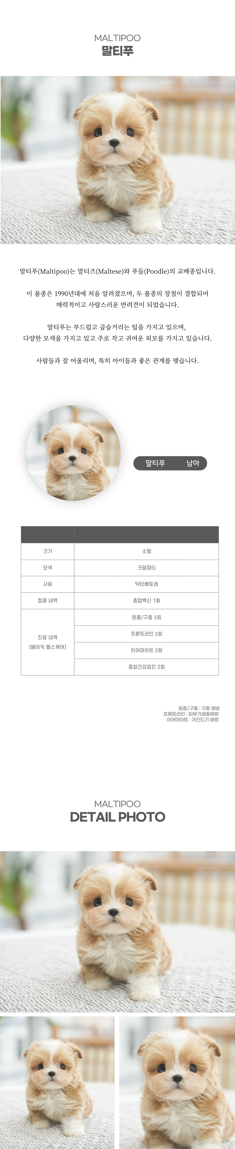 말티푸_상세이미지_2