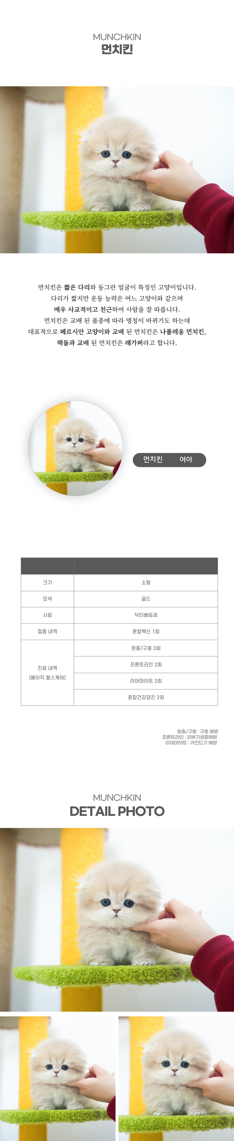 먼치킨_상세이미지_2