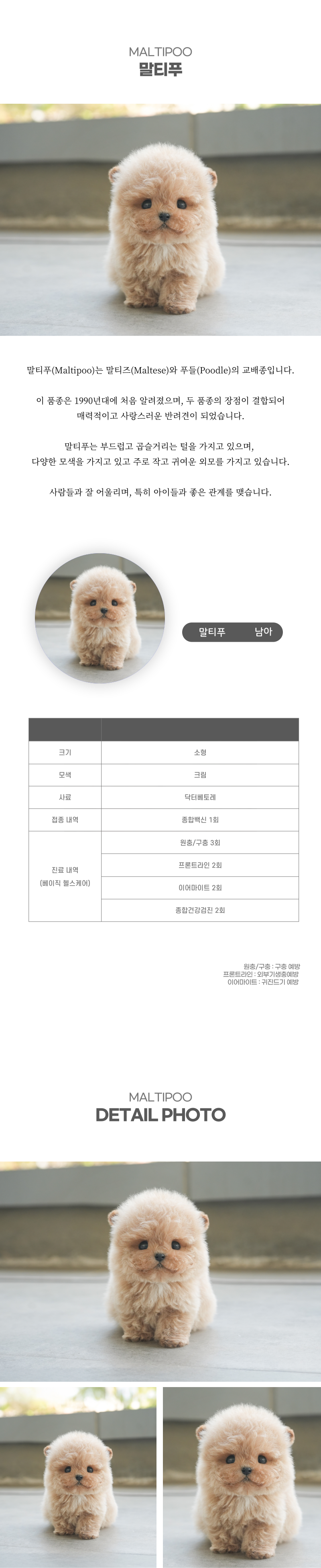 말티푸_상세이미지_2