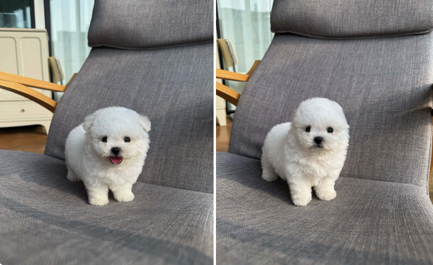 네이버실제리뷰_상세페이지_1
