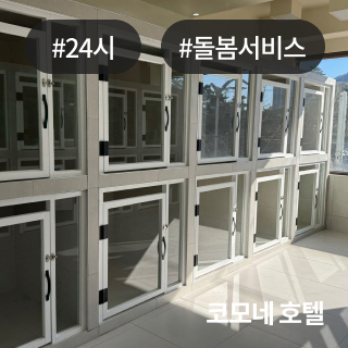 미유펫서울_회사소개_섹션_1_4