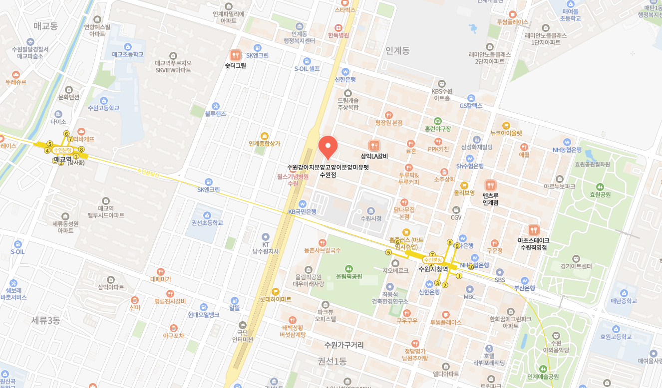 미유펫서울_회사소개_섹션_3_1