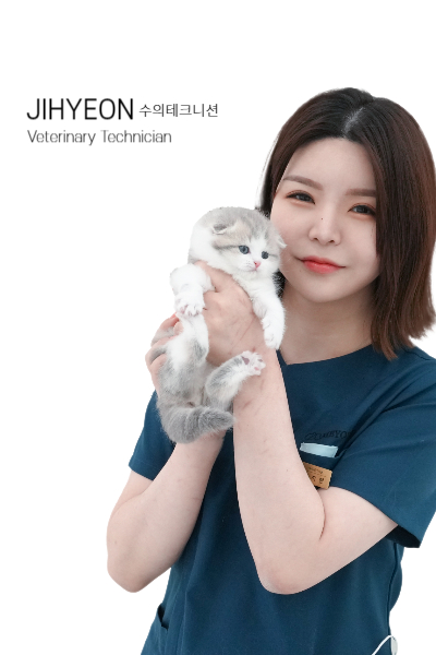 미유펫_서울_병원_수의테크니션