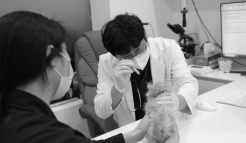 미유펫분당_메뉴_2_2_off
